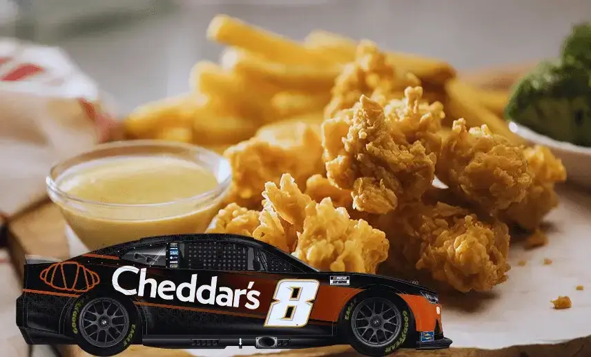 Special Chicken Tender Platter 